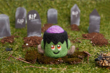 West Design Products UK - Simply Make Needle Felting Kit Frankenstein's Monster