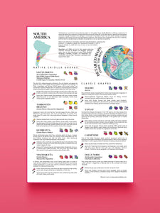 Water & Wines - Wine Puzzle - South America